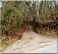 Access road to a disused limekiln and Pentumpkin Cottage, The Doward