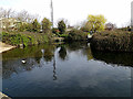 TL2668 : Lake at Wood Green Animal Shelter by Geographer