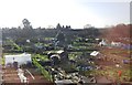 Allotments on the edge of Twyford