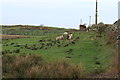 Farmland at South Clutag