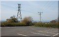 Electricity pylon and telegraph pole, Trimpley, Worcs