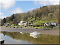 SX1357 : Lerryn, the Northern Side of the Creek by Tony Atkin