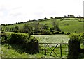 Hayfield south of the Drumharriff Road