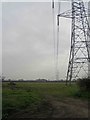 Pylon and power line alongside Sand Lane