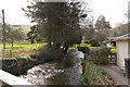 Looking down the river Bray from Newtown Bridge on Rockhead Hill