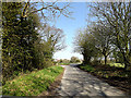 TM0959 : Chapple Lane, Forward Green by Geographer