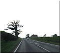 TM1678 : A143 Bungay Road, Billingford by Geographer