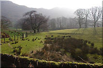NY3915 : Rough grazing, Patterdale by Ian Taylor