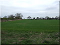 Field north of Carr Lane