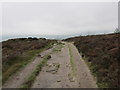 SK2462 : Track across Stanton moor. by steven ruffles