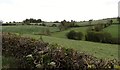 Hayfield on the south side of the Kingsmill Road