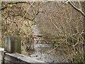 Looking up an unnamed stream which joins the river Bray at Leeham Ford Bridge