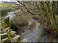 Looking down the river Bray from Challacombe Bridge