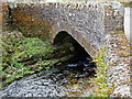 The upstream side of Challacombe Bridge on the river Bray