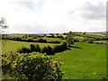 Grazing country west of Rathcarbery Road