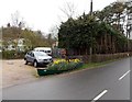 Daffodil canoe in Parkend