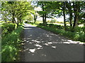 J0231 : A tree-lined section of the Drumnahunshin Road by Eric Jones