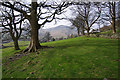 Field at Glenridding