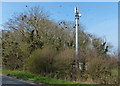 Mobile phone mast at Potter Hill