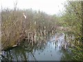 Pond, Marden Meadows Nature Reserve