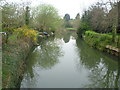 River Mole seen from Esher Road