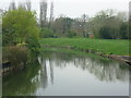 River Ember seen from Esher Road