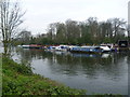 Looking across to Ash Island