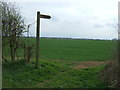 SE9601 : Footpath off Mill Road by JThomas