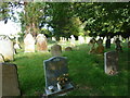 St Mary, Netherbury: churchyard (12)