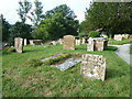 St Mary, Netherbury: churchyard (15)