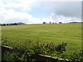 Grassland south of Ewart