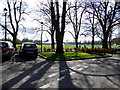 Tree shadows, Wallace Park