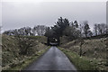 Old Bridge at Steele Road