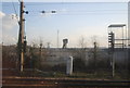 Waste ground by the Tilbury Loop