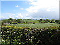 Hay meadows between Derrywilligan Road and the B133