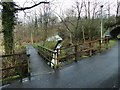 Footbridge in Lusset Glen