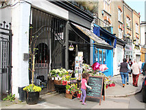 TQ2784 : Florist's shop on Regent's Park Road by Kate Jewell