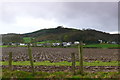 Cae aredig  / Ploughed field