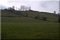 Fields at Lornty, Blairgowrie