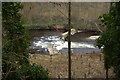 Broken weir on the River Ericht at Lornty