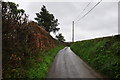 Mid Devon : Country Lane