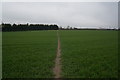 Path leading to Woodhouse Lane, West Ardsley