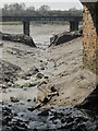 ST5575 : River Trym at Sea Mills by Derek Harper