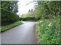 Loddington Lane from the Greensand Way