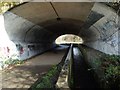 View through tunnel