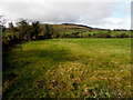 Edenreagh Townland