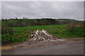 Taunton Deane District : Country Lane & Field