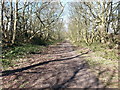 Disused Railway Track that is part of the Walney to Wear cycle track at Moorside