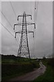 Taunton Deane District : Country Lane & Pylon