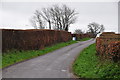 Taunton Deane District : Country Lane